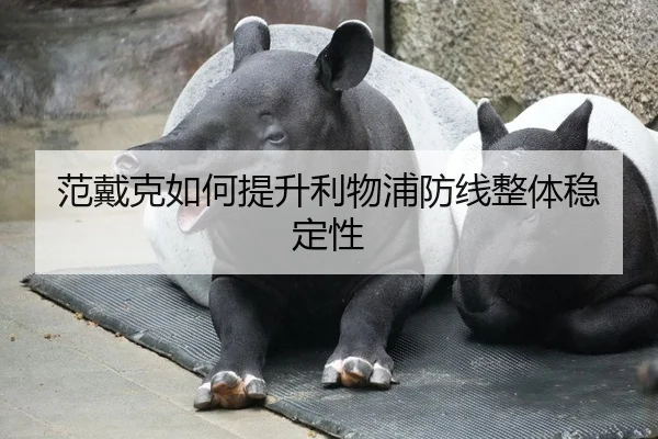 范戴克如何提升利物浦防线整体稳定性